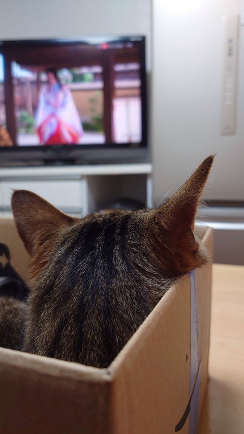 20240728_202031_Original