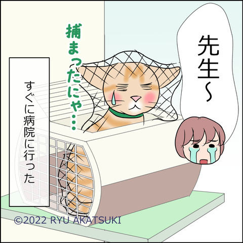 あんこ＆麦kenko51d