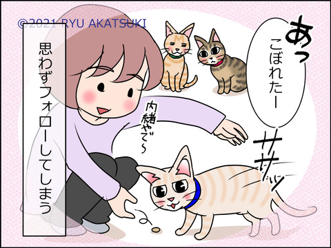 あんこ&麦STORY1508d