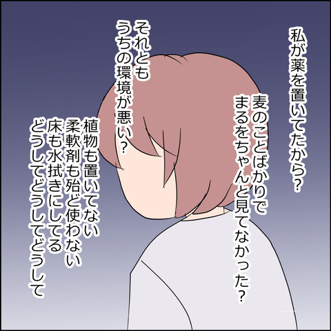 あんこ＆麦kenko154c