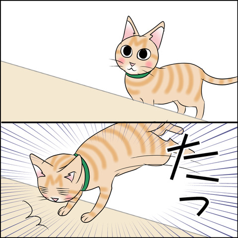 あんこ＆麦STORY2054c