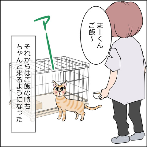 あんこ&麦kenko165a