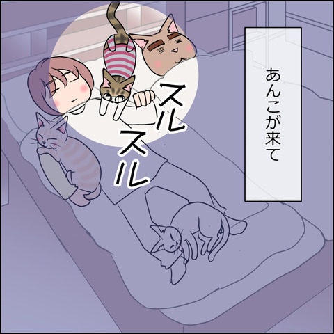 あんこ&麦STORY1719c