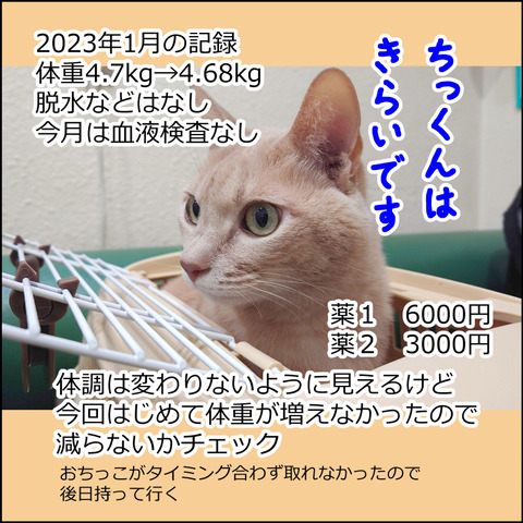 あんこ＆麦kenko76e