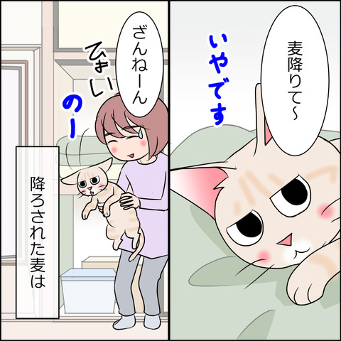 あんこ＆麦STORY1902a