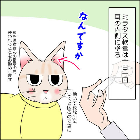 あんこ＆麦kenko145a