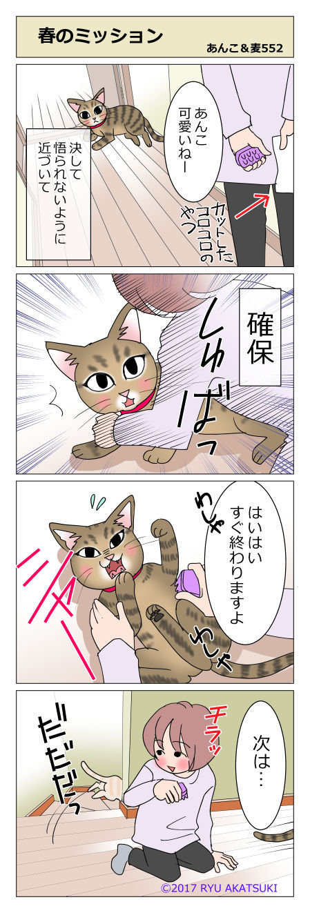 あんこ＆麦STORY552