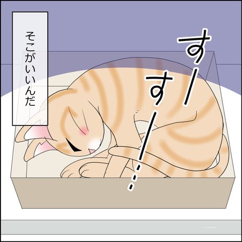 あんこ&麦STORY2357d