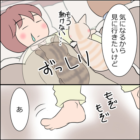 あんこ＆麦STORY1786c