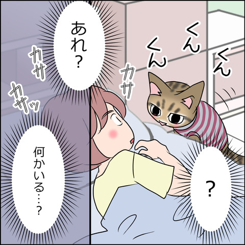 あんこ＆麦STORY1694b