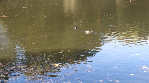 20241207_142549_Original