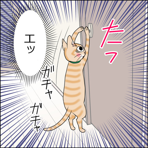 あんこ&麦STORY1974b