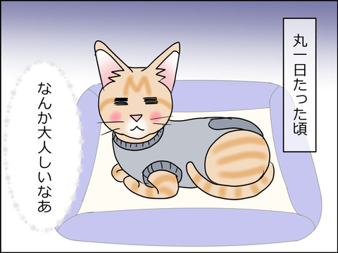 あんこ&麦kenko36c