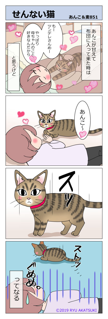あんこ&麦STORY851