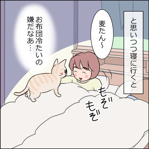 あんこ＆麦STORY1756b