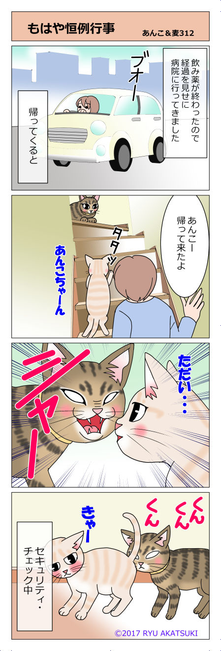 あんこ&麦STORY312