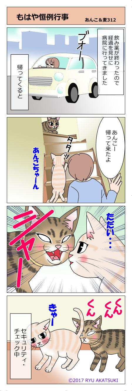 あんこ＆麦STORY312