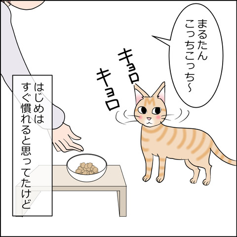 あんこ&麦STORY2437a