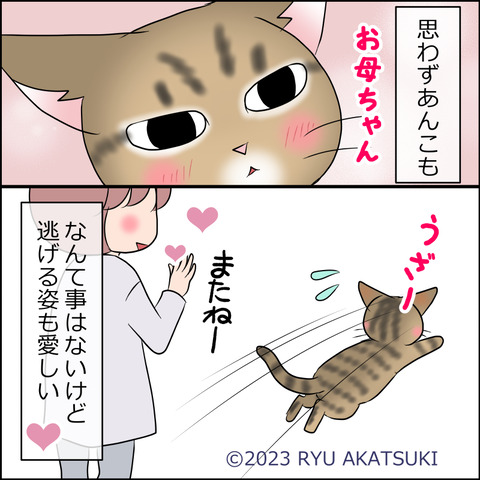 あんこ＆麦STORY1807d