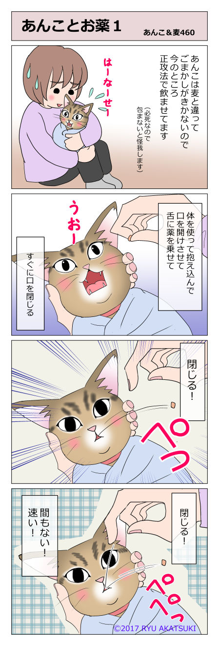 あんこ&麦STORY460