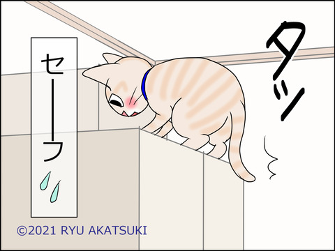 あんこ&麦STORY1458d