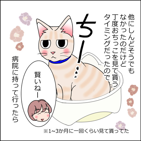 あんこ＆麦kenko61c
