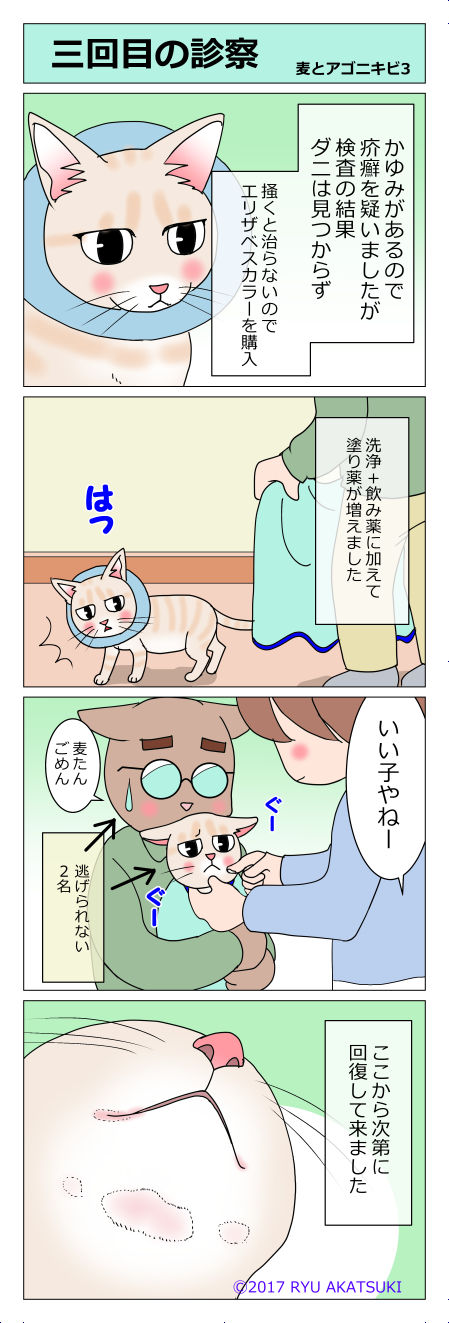あんこ&麦kenko11