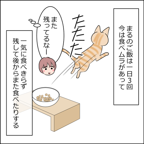 あんこ＆麦STORY2498a
