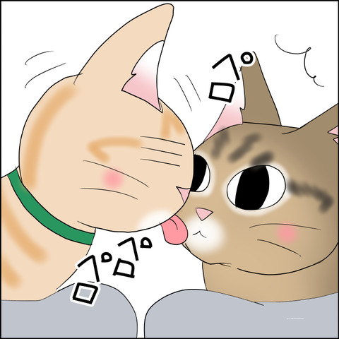 あんこ＆麦STORY2281c