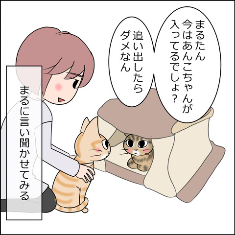 あんこ＆麦STORY2418a