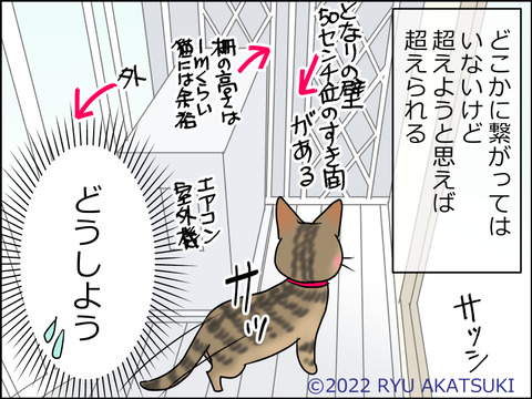 あんこ&麦STORY1514d