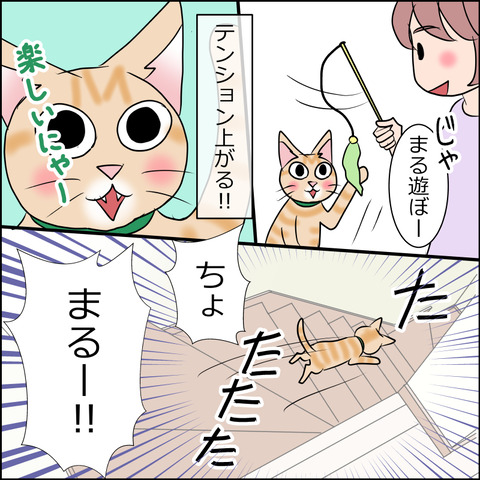 あんこ＆麦STORY1658c