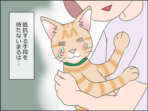 あんこ&麦STORY1433c