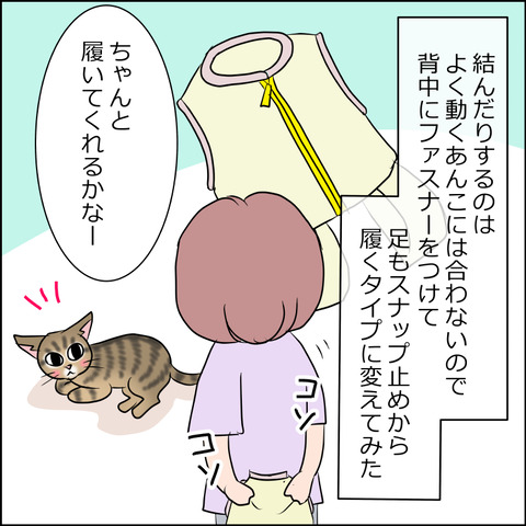 あんこ＆麦kenko48c