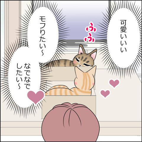 あんこ&麦STORY1952c