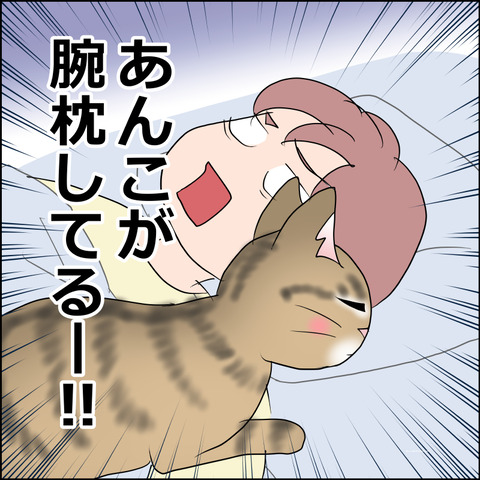 あんこ&麦STORY2494c