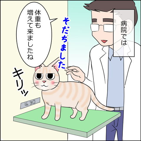 あんこ＆麦kenko94c