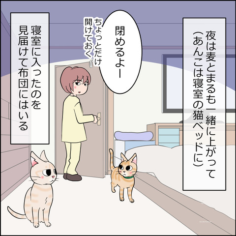 あんこ＆麦STORY2249a