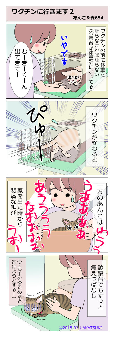 あんこ&麦STORY654