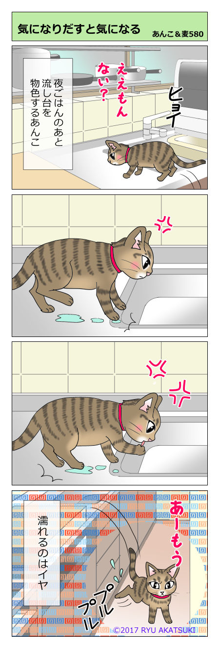 あんこ&麦STORY580