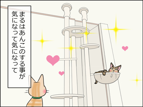 あんこ&麦STORY1530a