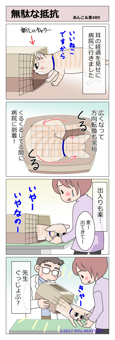 あんこ&麦STORY489