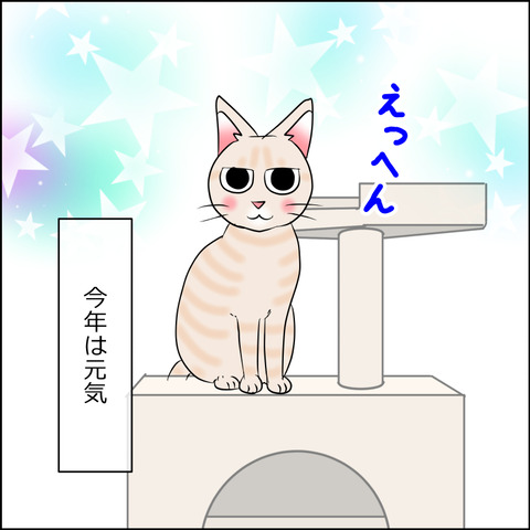 あんこ＆麦STORY2016c