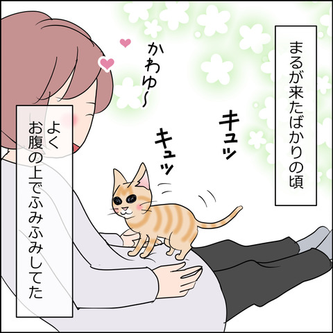あんこ＆麦STORY2434a