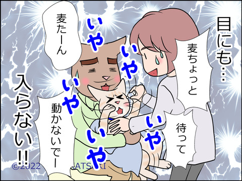あんこ&麦STORY1525d
