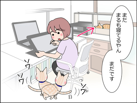 あんこ&麦STORY1429b