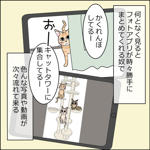 あんこ&麦STORY2486b