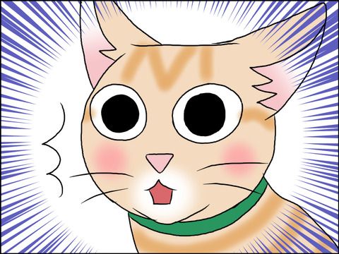 あんこ＆麦STORY1632c