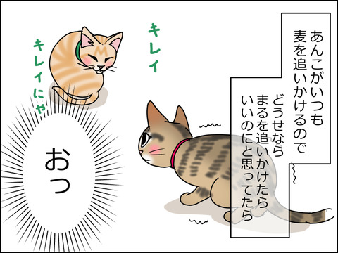 あんこ&麦STORY1464a