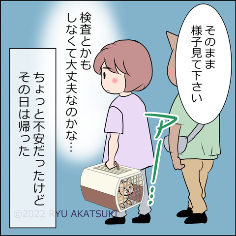 あんこ＆麦kenko52d